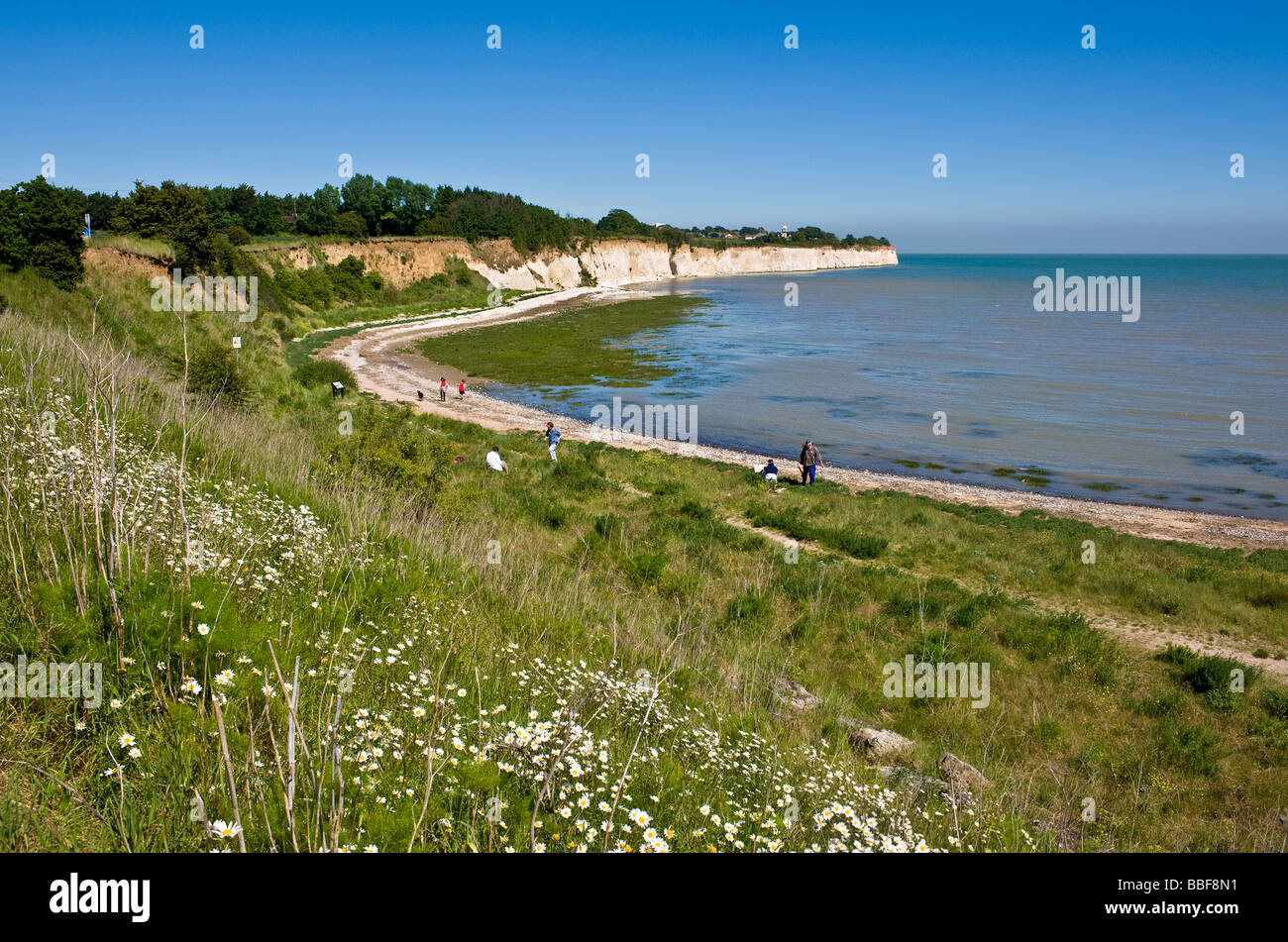 Pegwell Bay in Kent. Stock Photo