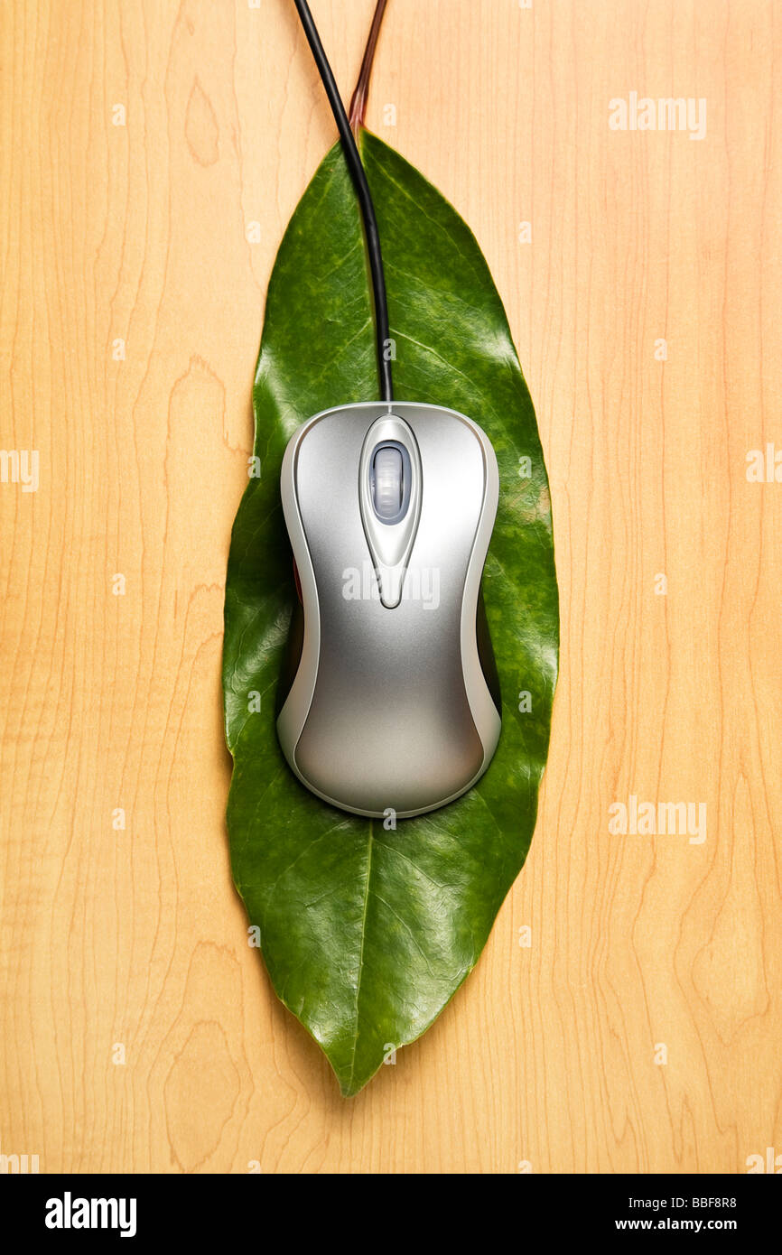 Computer mouse on a leaf Stock Photo