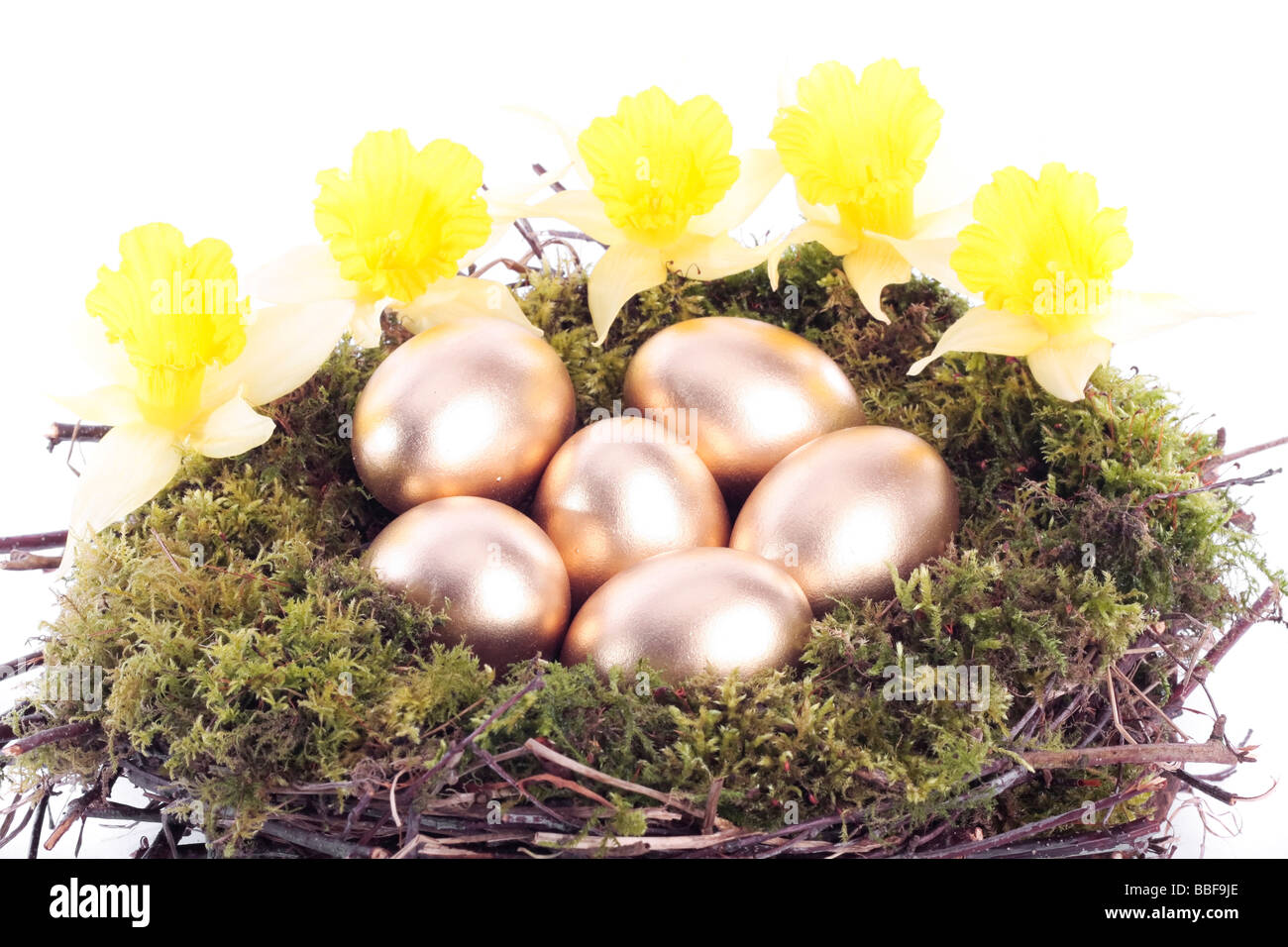 Golden eggs in bird nest over white background Stock Photo - Alamy