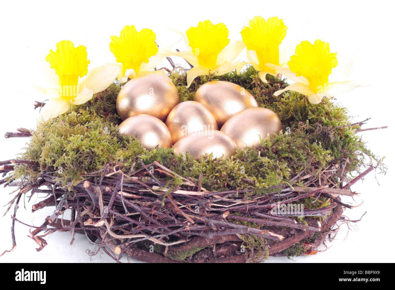 Golden eggs in bird nest over white background Stock Photo - Alamy