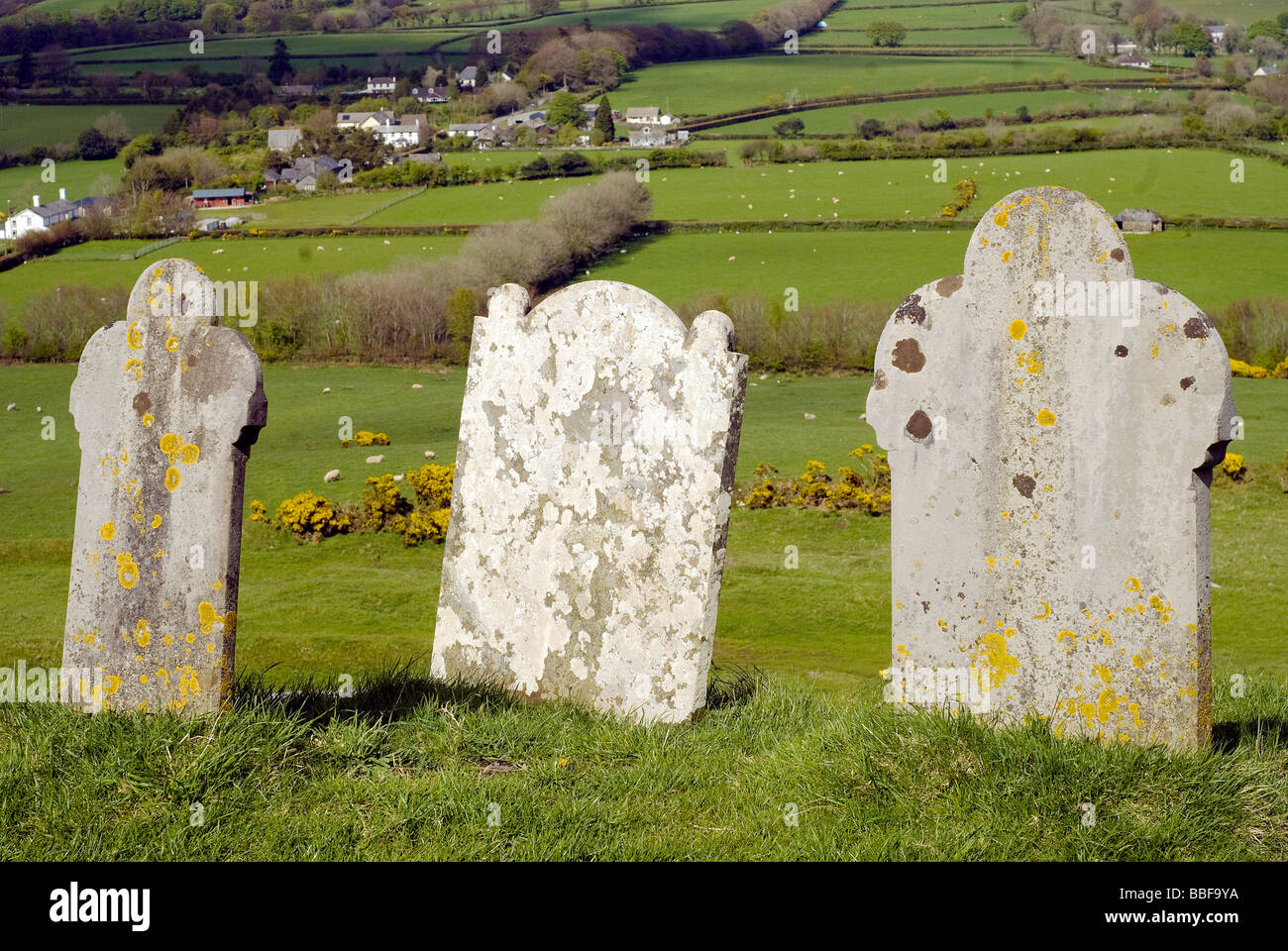 3 Lichen covered headstones keep watch over Spring fields near Brentor in West Devon .England. Stock Photo