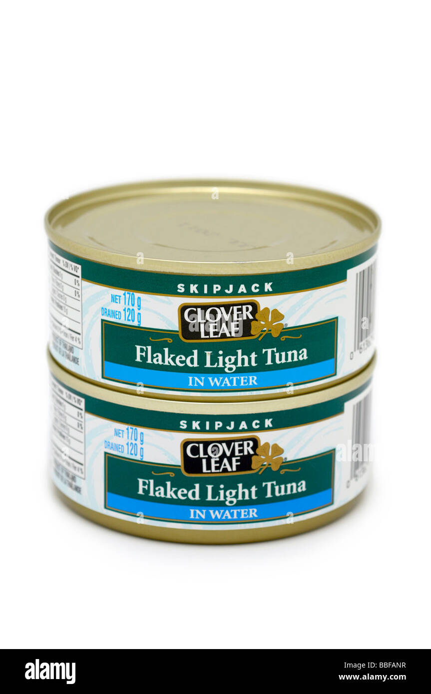 Tins of Flaked Light Tuna in Water Stock Photo