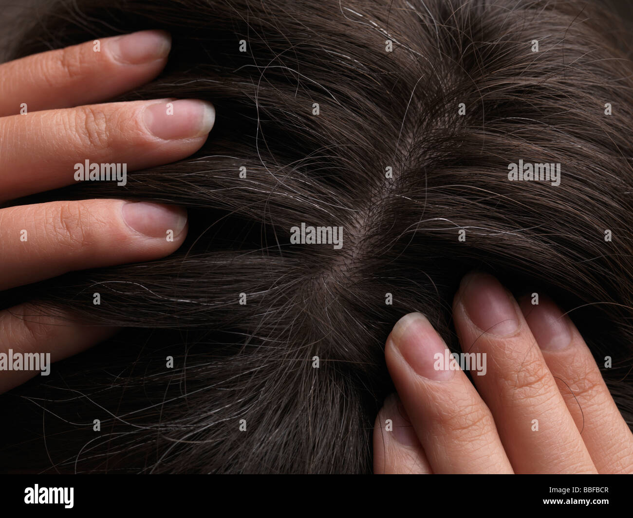 Grey hairs on a woman's head Stock Photo