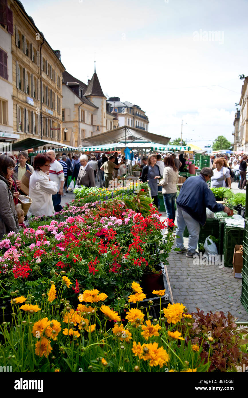 Flowers and plants at the Saturday fruit and vegetable market in