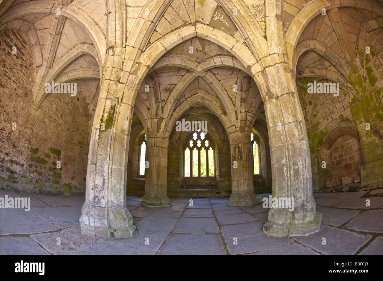 Interior of Chapter House Valle Crucis 13th century Cistercian Abbey