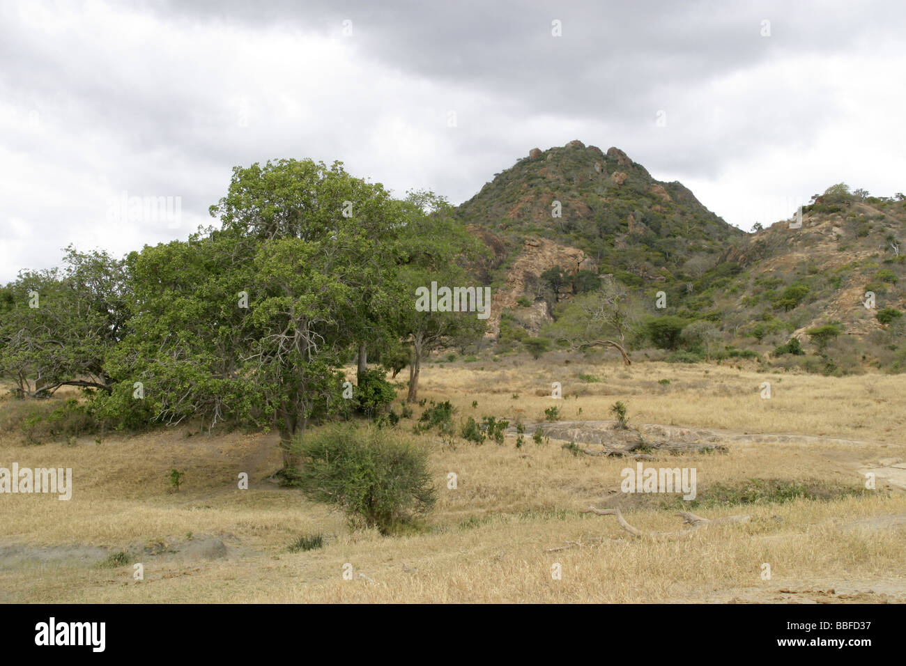 Grassland Rocks East africa grassland rocks hi-res stock photography and images - Alamy