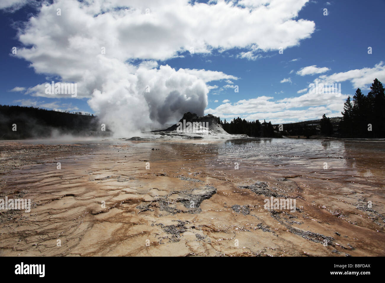 Yellowstone geiser hot hi-res stock photography and images - Alamy