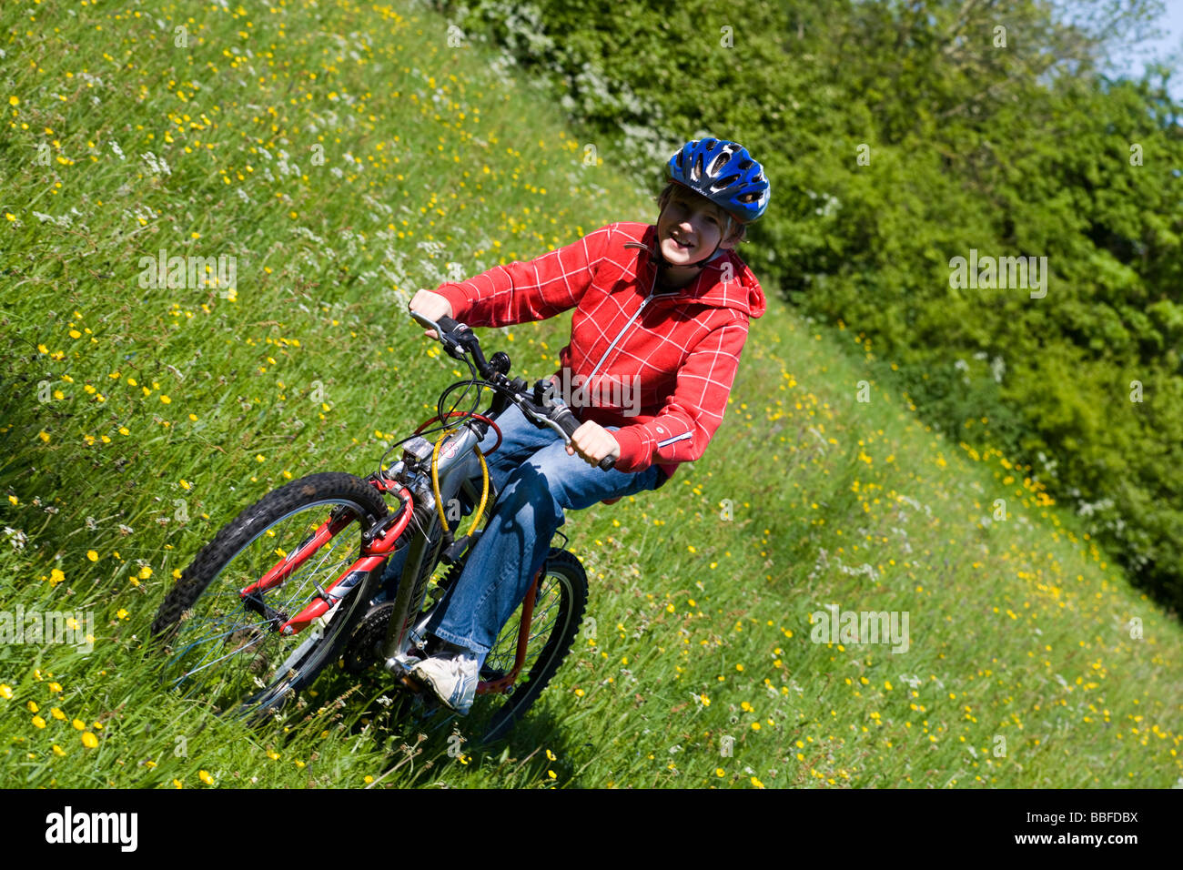 Next buttercup online bike