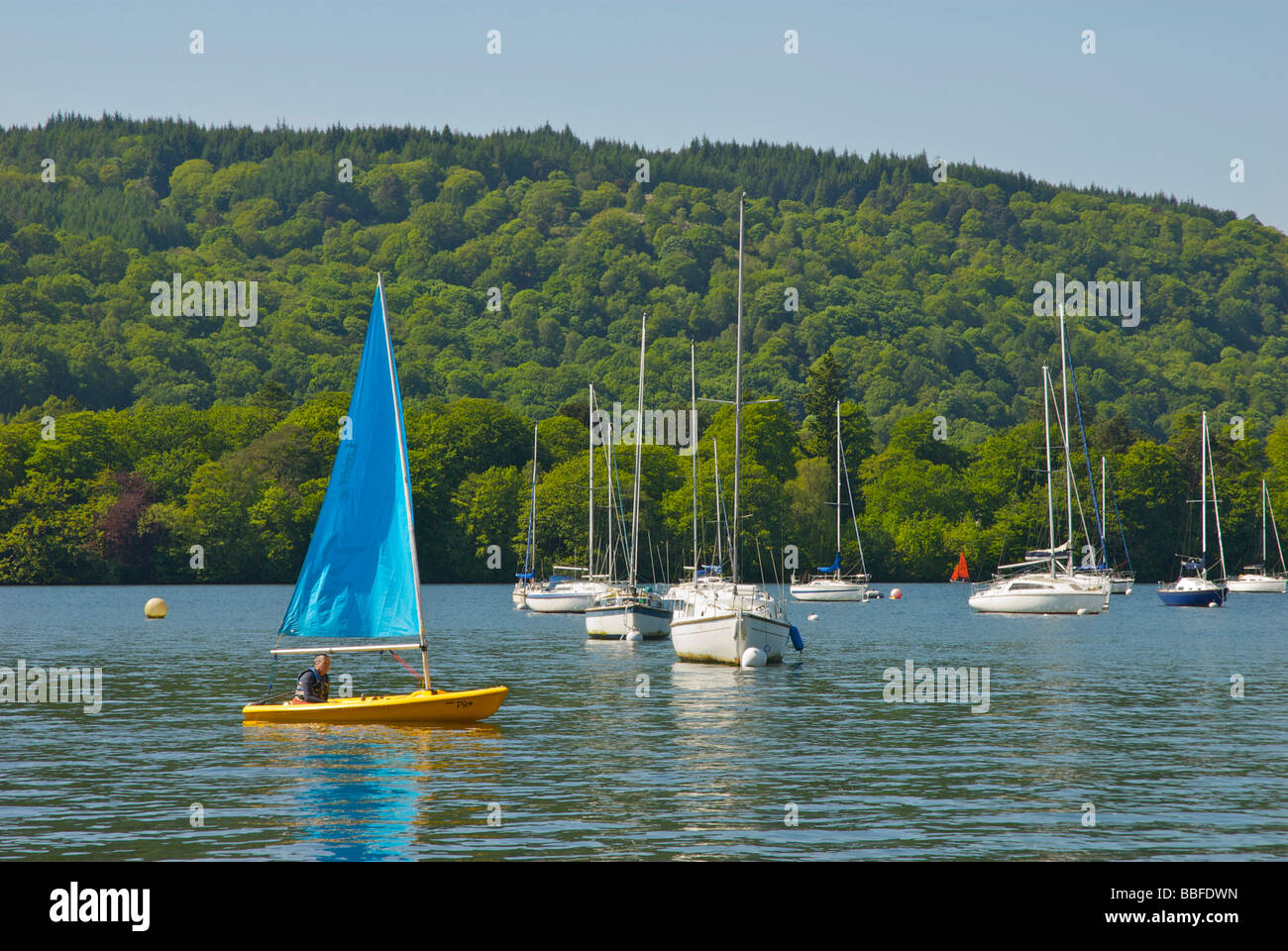 Man in Laser sailing dinghy on Lake Windermere, Lake District National
