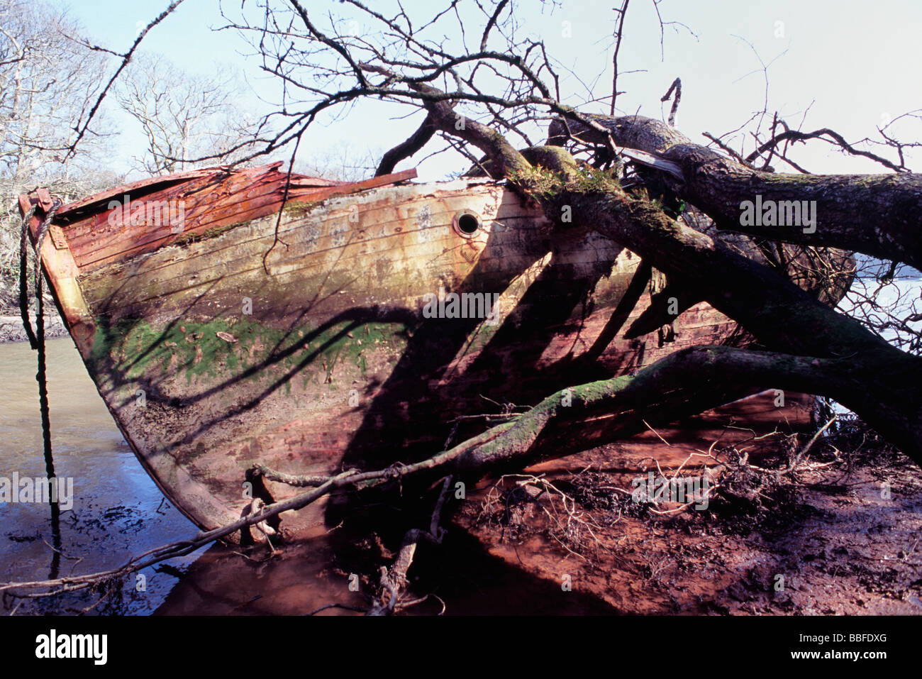 An abandoned boat lying up a tidal creek Stock Photo