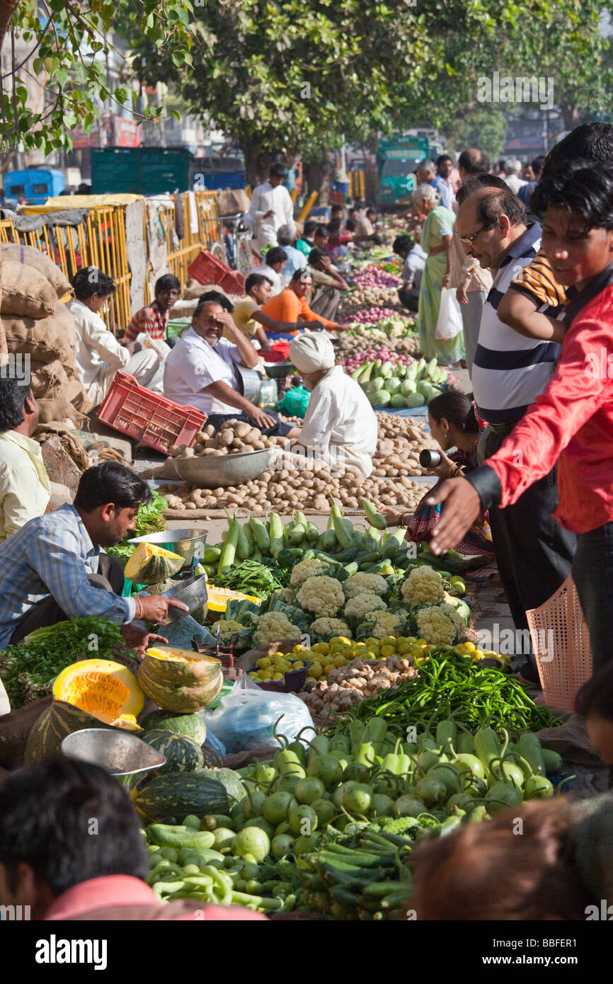Fresh Vegetable Market in Old Delhi India Stock Photo Alamy