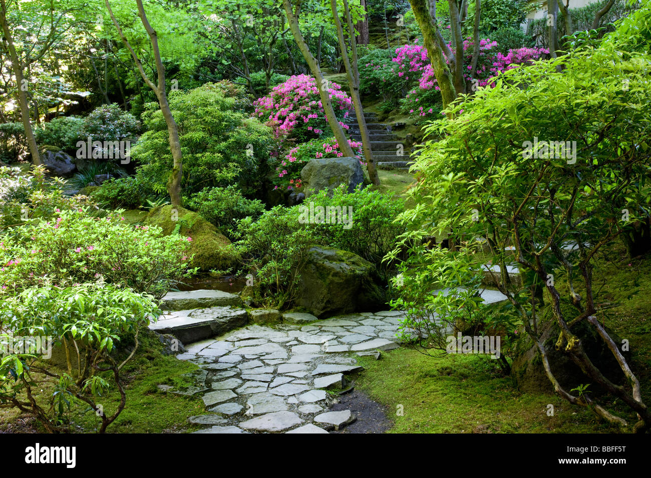 pathway-through-japanese-garden-portland-oregon-usa-stock-photo-alamy