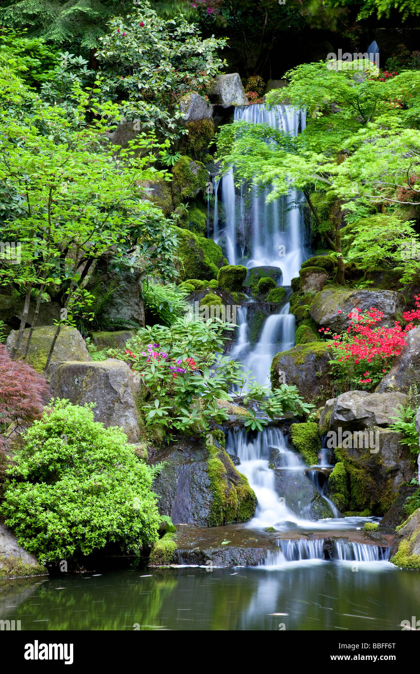 green-japanese-garden-portland-hi-res-stock-photography-and-images-alamy