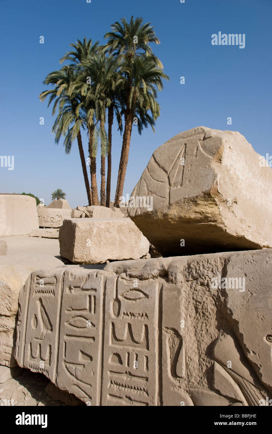 Ancient ruins and a palm tree in Egypt Stock Photo Alamy