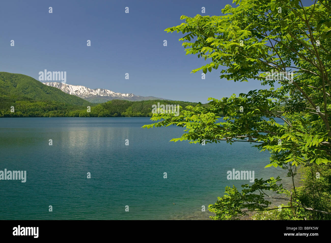 Lake aoki hi-res stock photography and images - Alamy