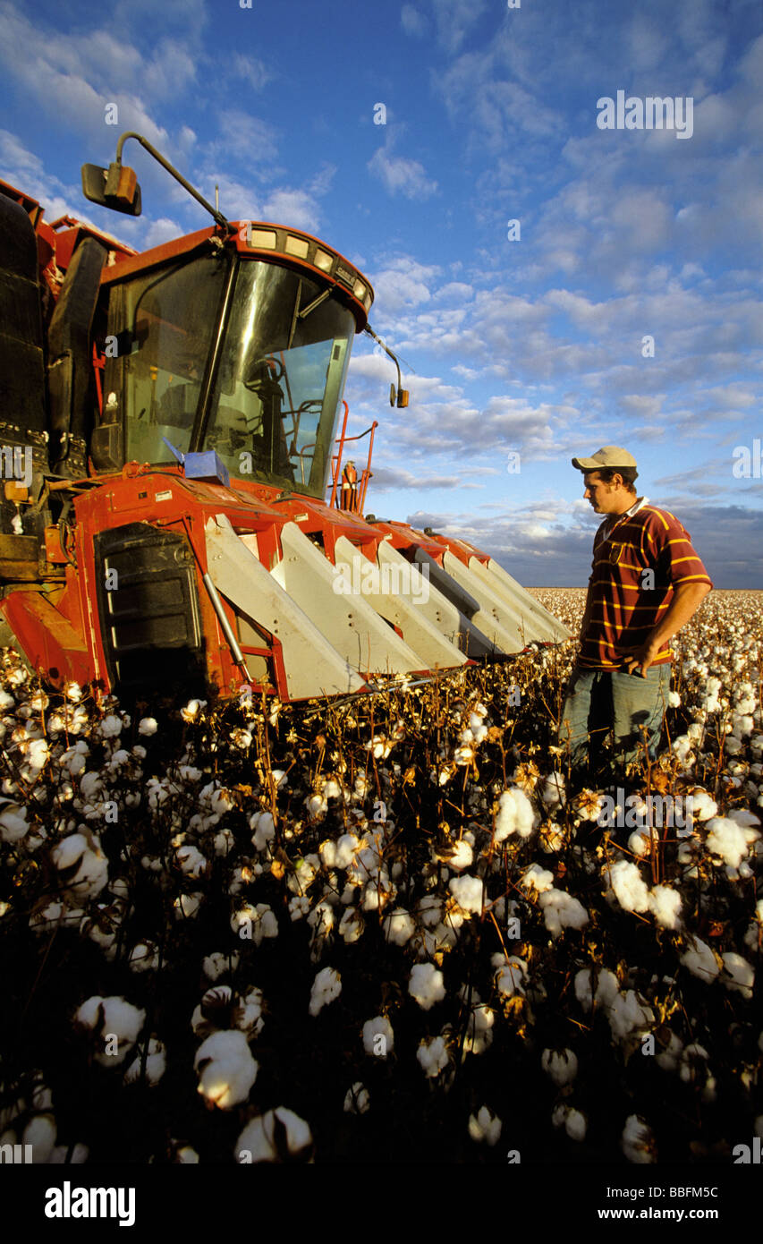 Header Maintenance during the Cotton Harvest Merrowie Station Hillston New South Wales Australia Stock Photo