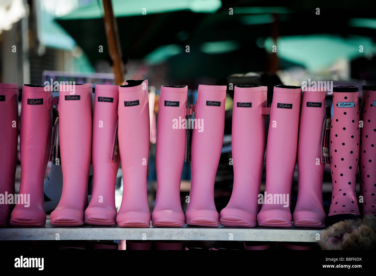 Pink wellington boots lined up on shelf for sale. Picture by Jim Holden. Stock Photo