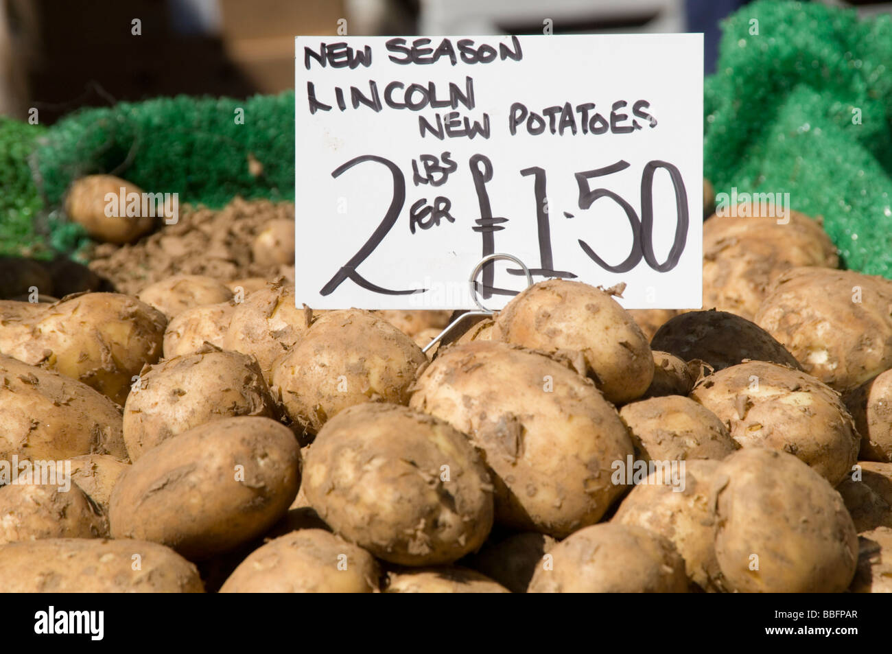 potatoes potato spud spuds soil mud muddy fresh freshly dug up