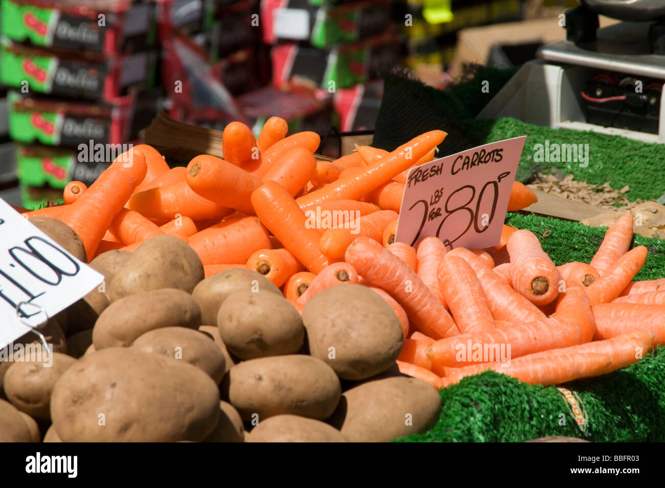 bright orange carrots carrot intensively farmed grown chemicals chemical vegetable vegetables fresh crisp crunchy food fresh hea Stock Photo