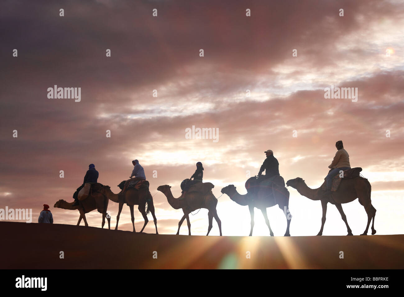 Africa, North Africa, Morocco, Sahara Desert, Merzouga, Erg Chebbi, Tourists Riding Camels at Sunrise Stock Photo