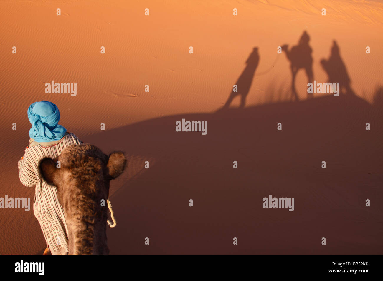Africa, North Africa, Morocco, Sahara Desert, Merzouga, Erg Chebbi, Berber Tribesman Leading Camel, Shadows in the Sand Stock Photo