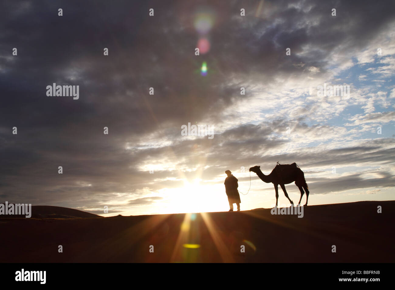 Africa, North Africa, Morocco, Sahara Desert, Merzouga, Erg Chebbi, Berber Tribesman Leading Camel, Sunrise Stock Photo
