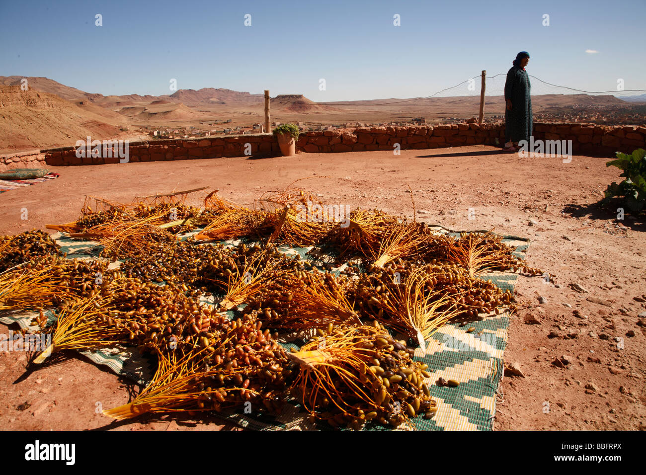 Africa, North Africa, Morocco, Tinerhir, Atlas Mountains, Dates Drying in Backyard Stock Photo