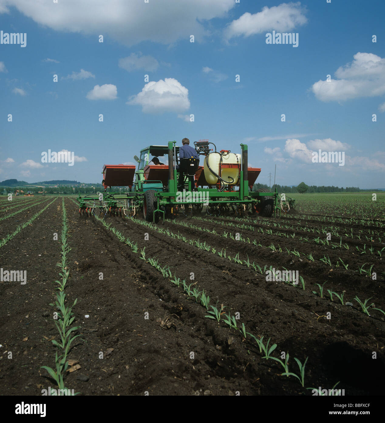 Machine for maize interrow cultivation spraying and fertilizing crop