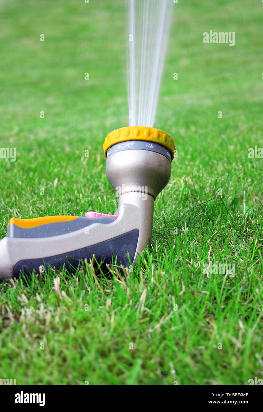 A used garden hose watering the grass Stock Photo Alamy