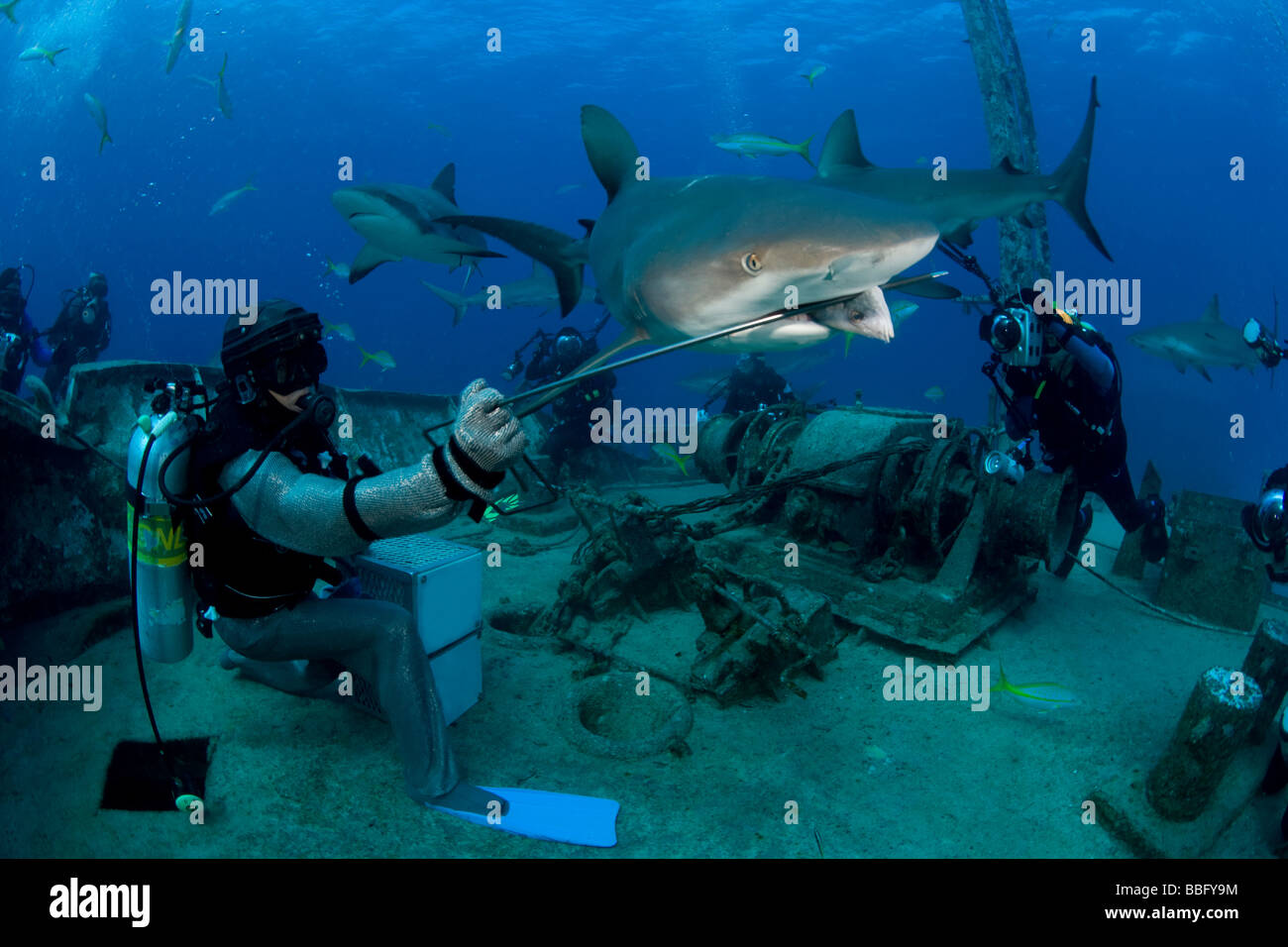 Man eating shark hi-res stock photography and images - Alamy
