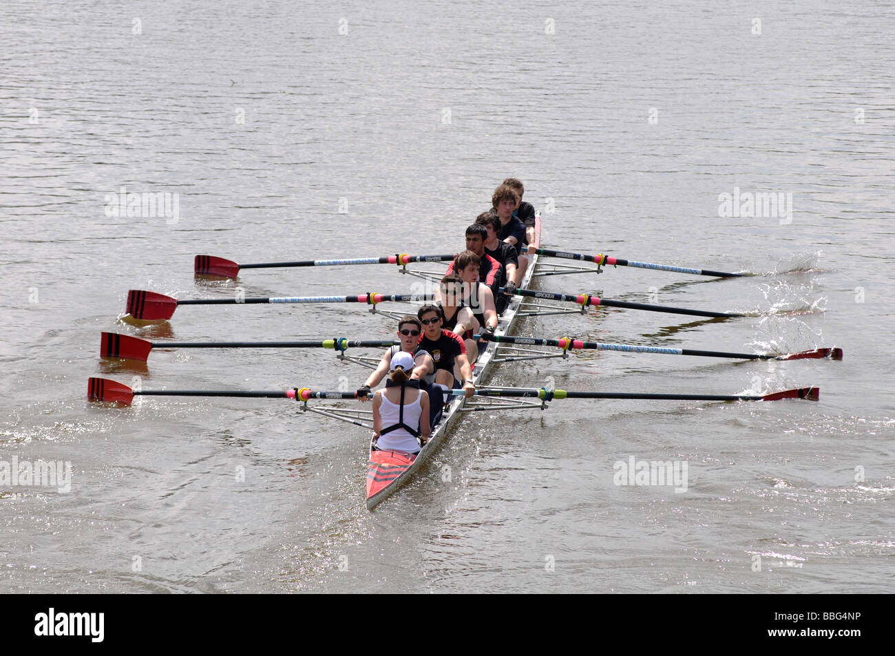 Rowing at Oxford University Summer Eights, UK Stock Photo Alamy