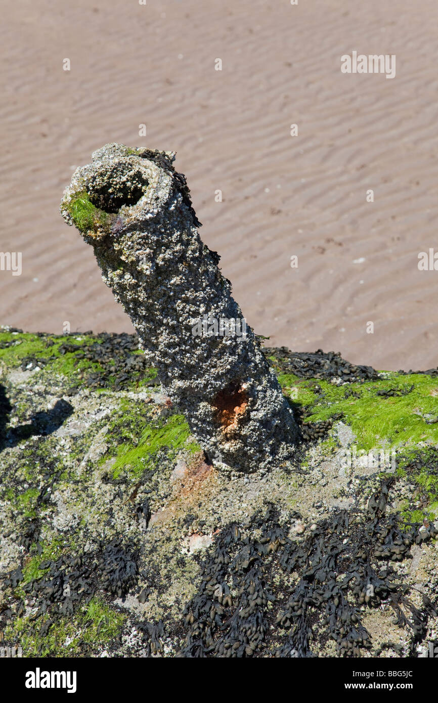 XT Craft midget submarine at Aberlady Bay (southern most Stock Photo