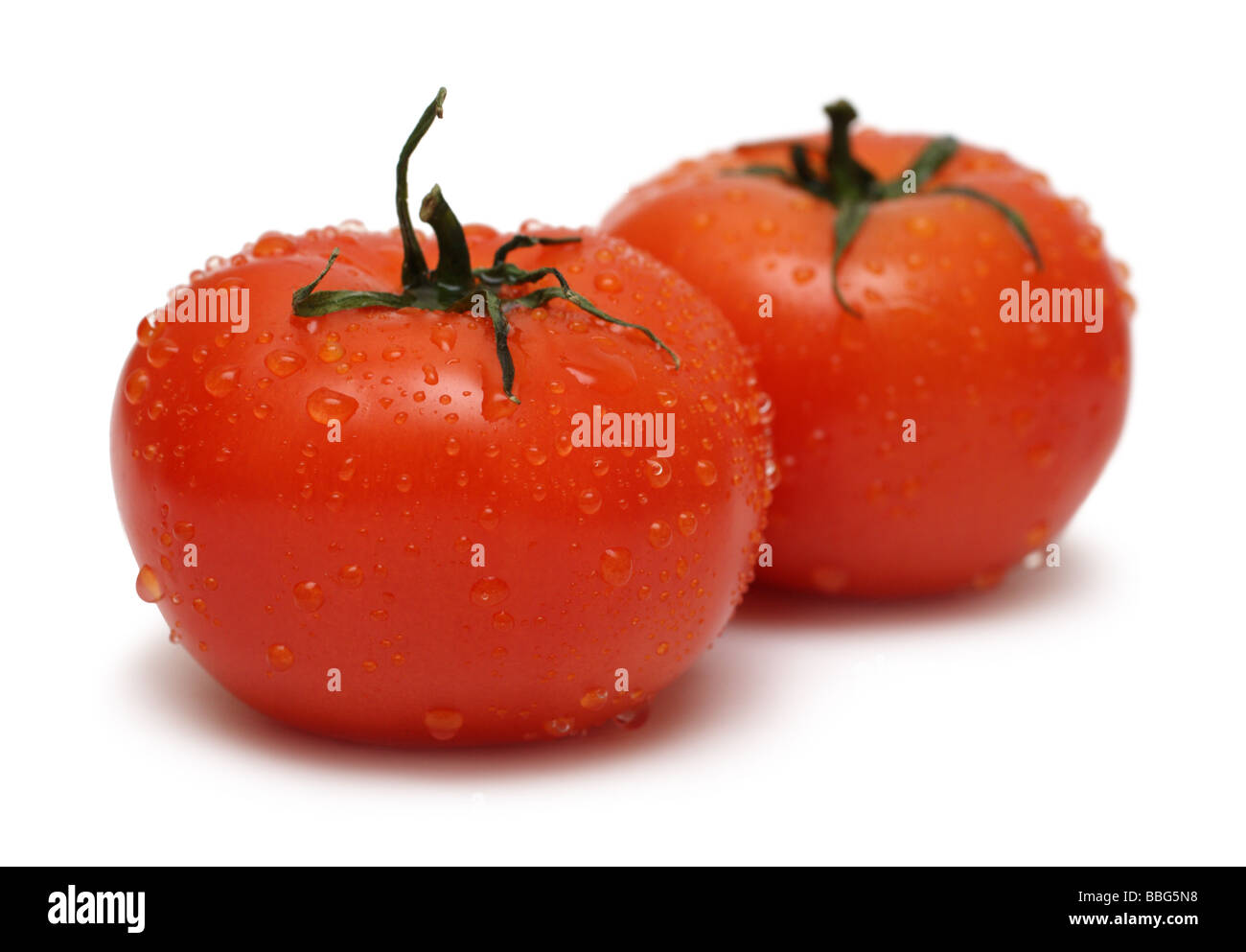 two red ripe tomato with water drops isolated on white Stock Photo - Alamy