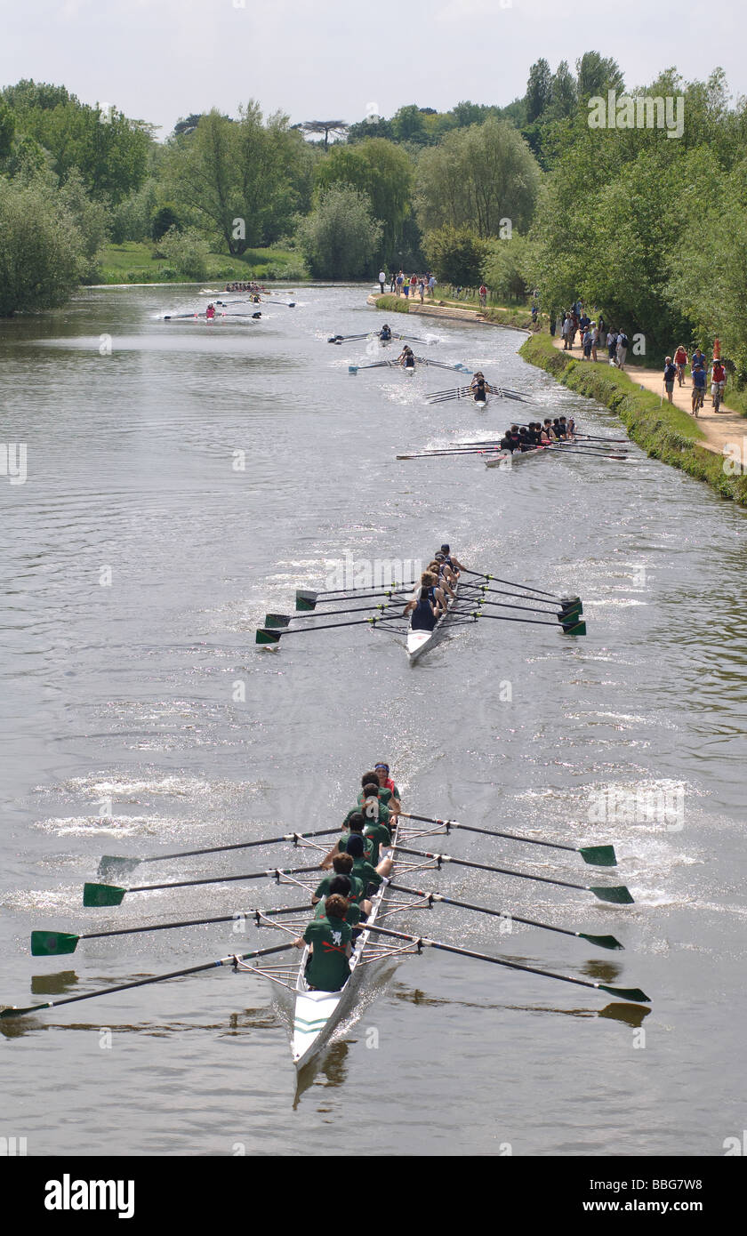 Rowing at Oxford University Summer Eights Stock Photo Alamy