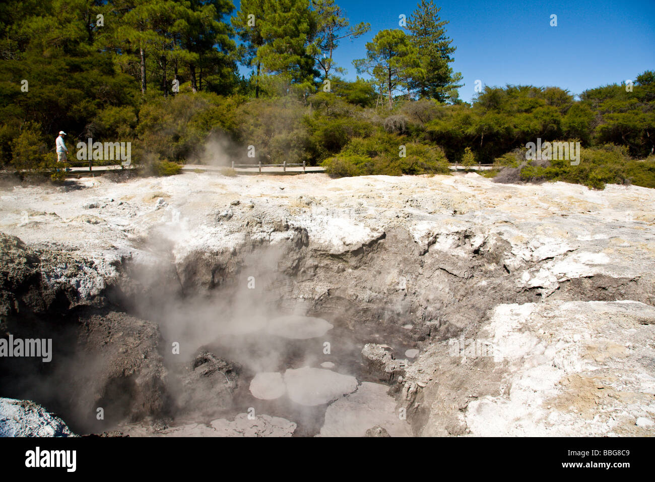 Mud Pools at Waiotapu Rotorua North Island New Zealand Stock Photo