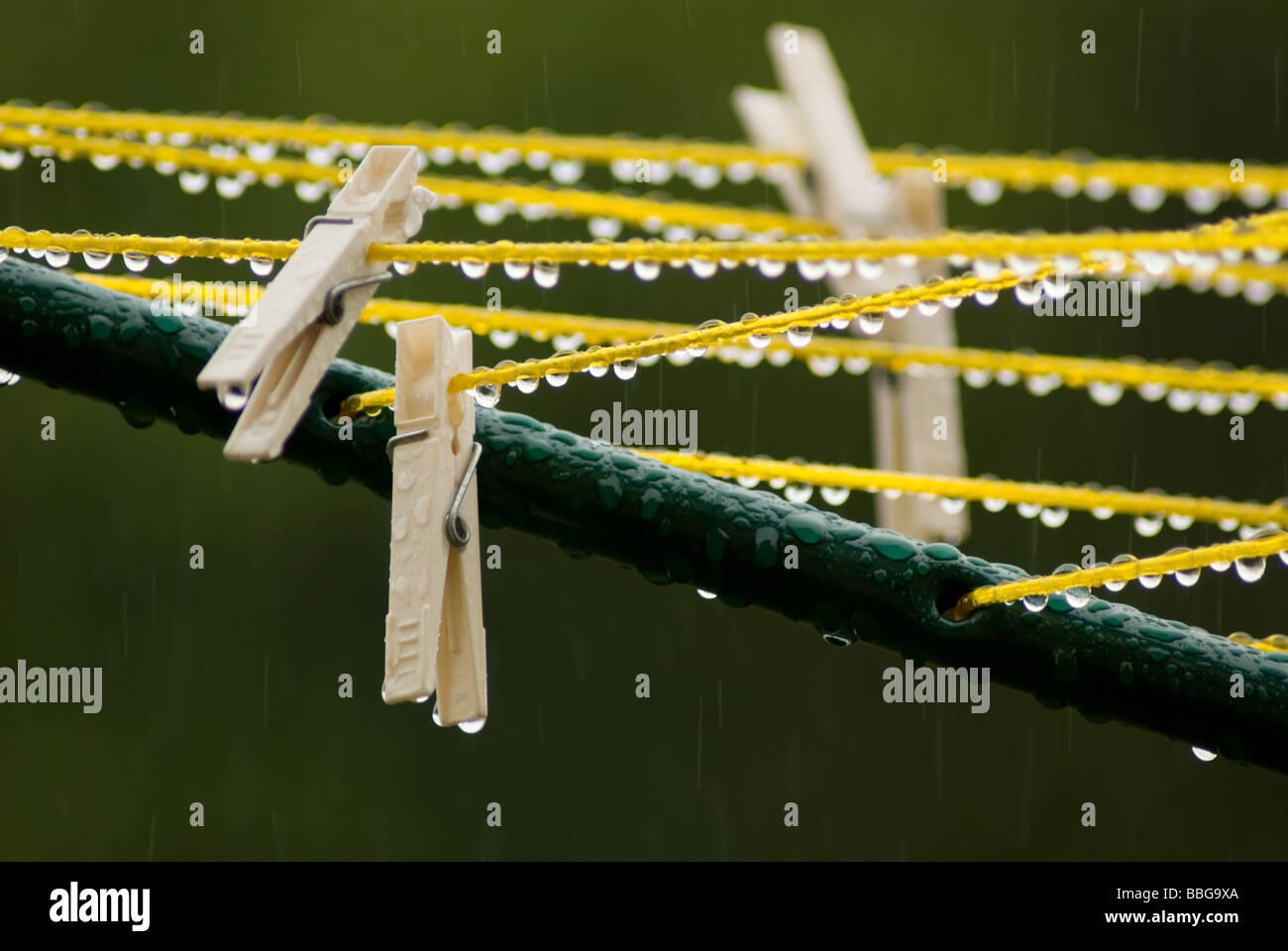 Clothes pegs on a washing line Stock Photo Alamy