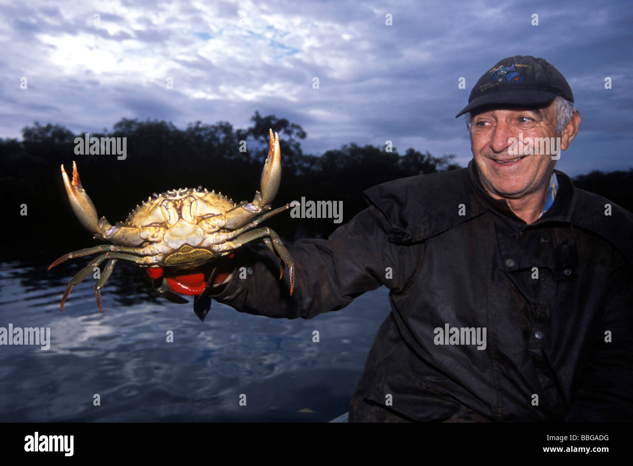 Aegean freshwater crab (Potamon potamios), crab fisherman, Australia