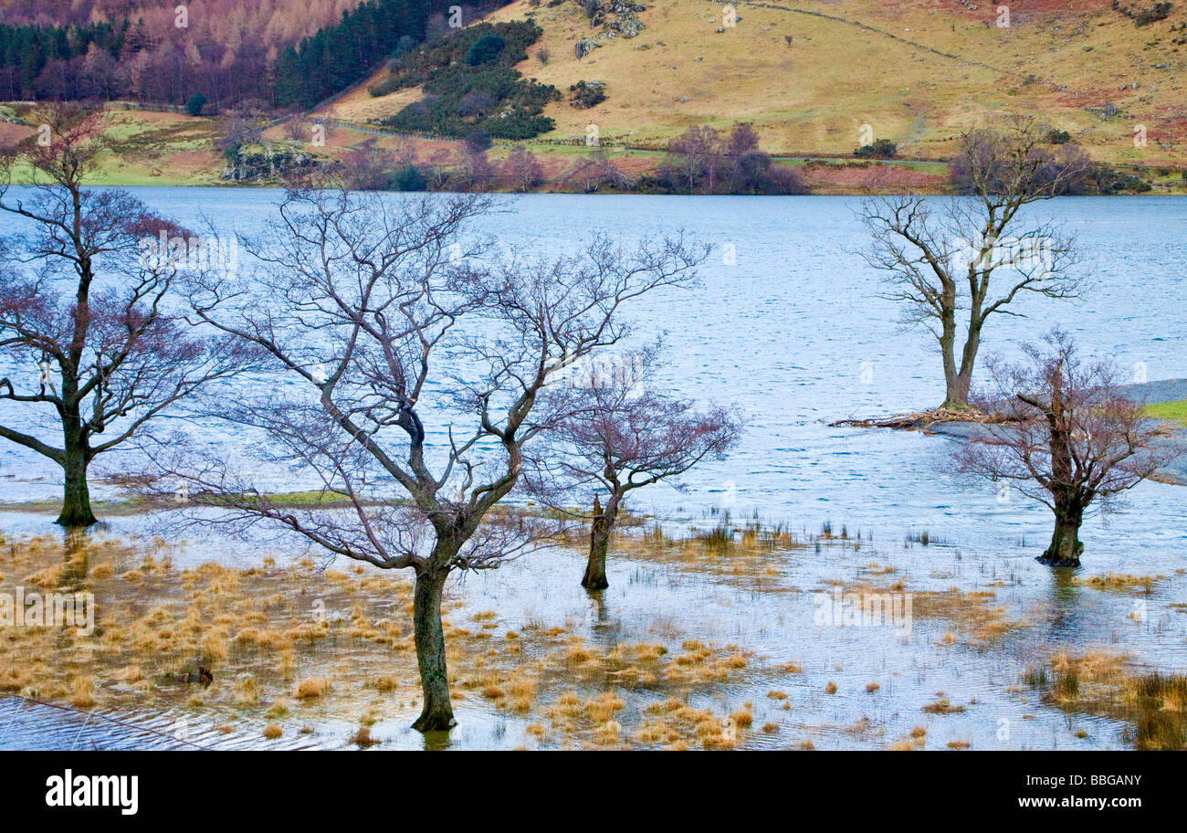 British Winter Landscapes Flooded Shore of Buttermere in the Lake District National Park Cumbria Stock Photo