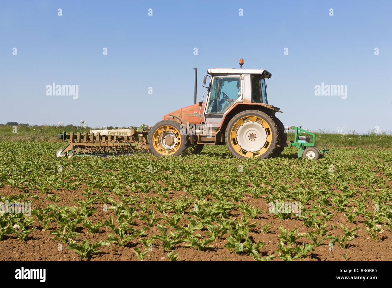 Tractor Mounted Sugar Beet Hoe Working In The Lincolnshire Fens Stock Photo
