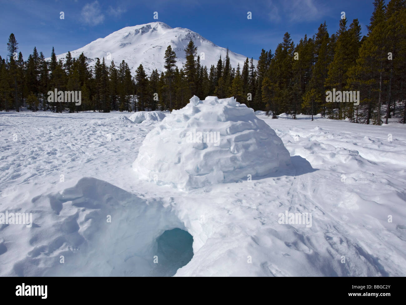 Igloo with low entrance, Log Cabin, White Pass, Chilkoot Pass, Chilkoot Trail, British Columbia, B.C., Yukon Territory, Canada, Stock Photo