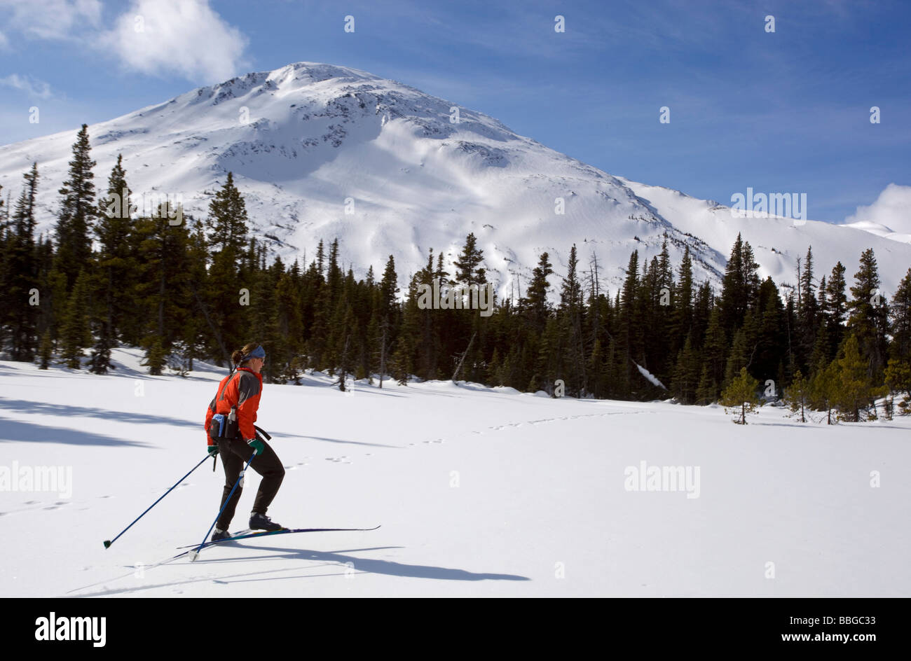 Skating territory hires stock photography and images Alamy