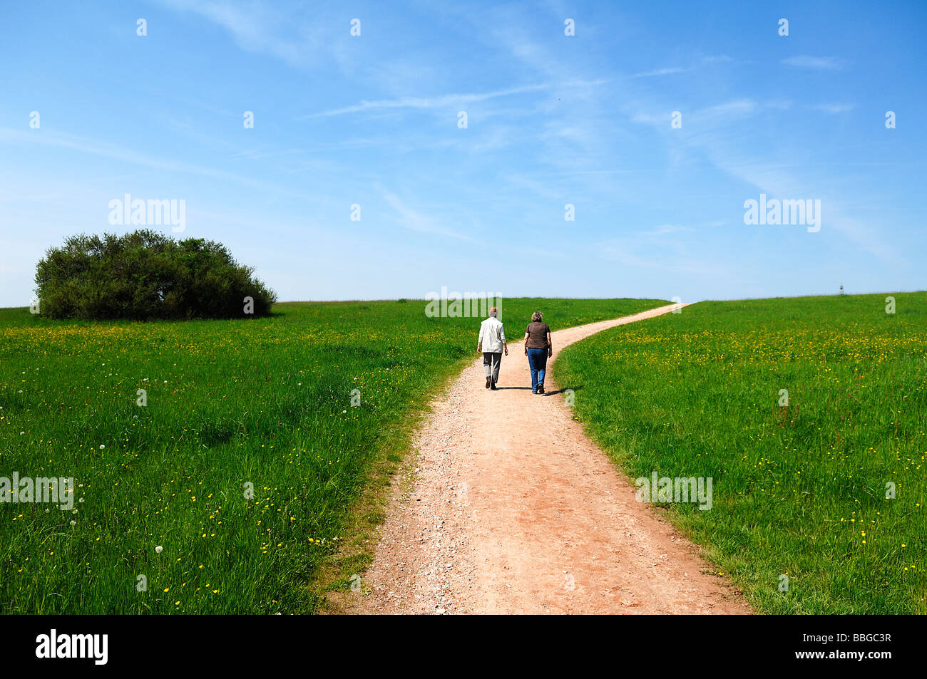 Meadows and field road with walkers, Eckental, Middle Franconia, Bavaria, Germany, Europe Stock Photo