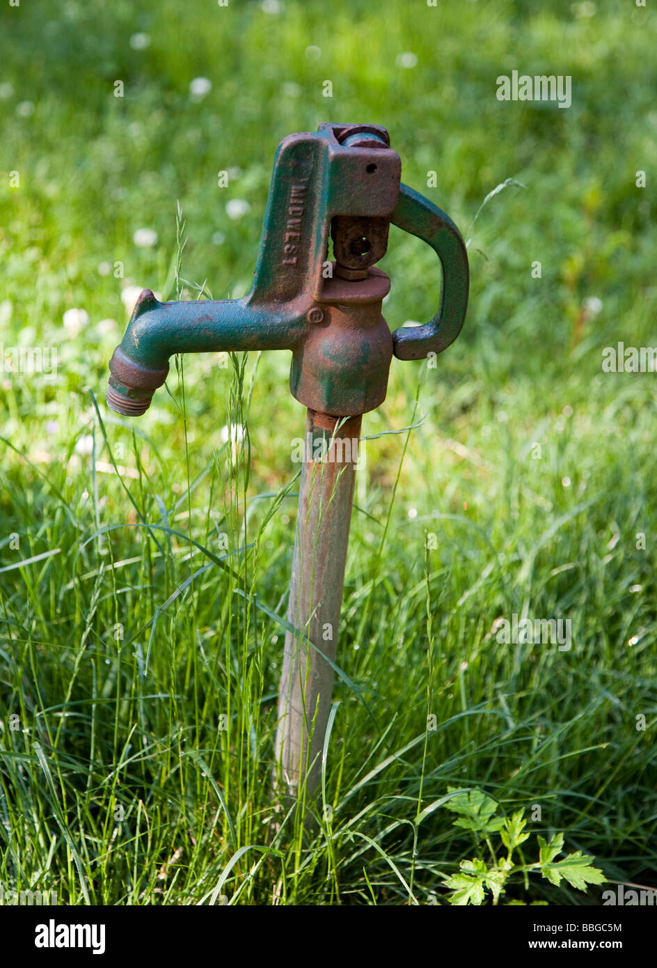 Water spigot in the ground Stock Photo