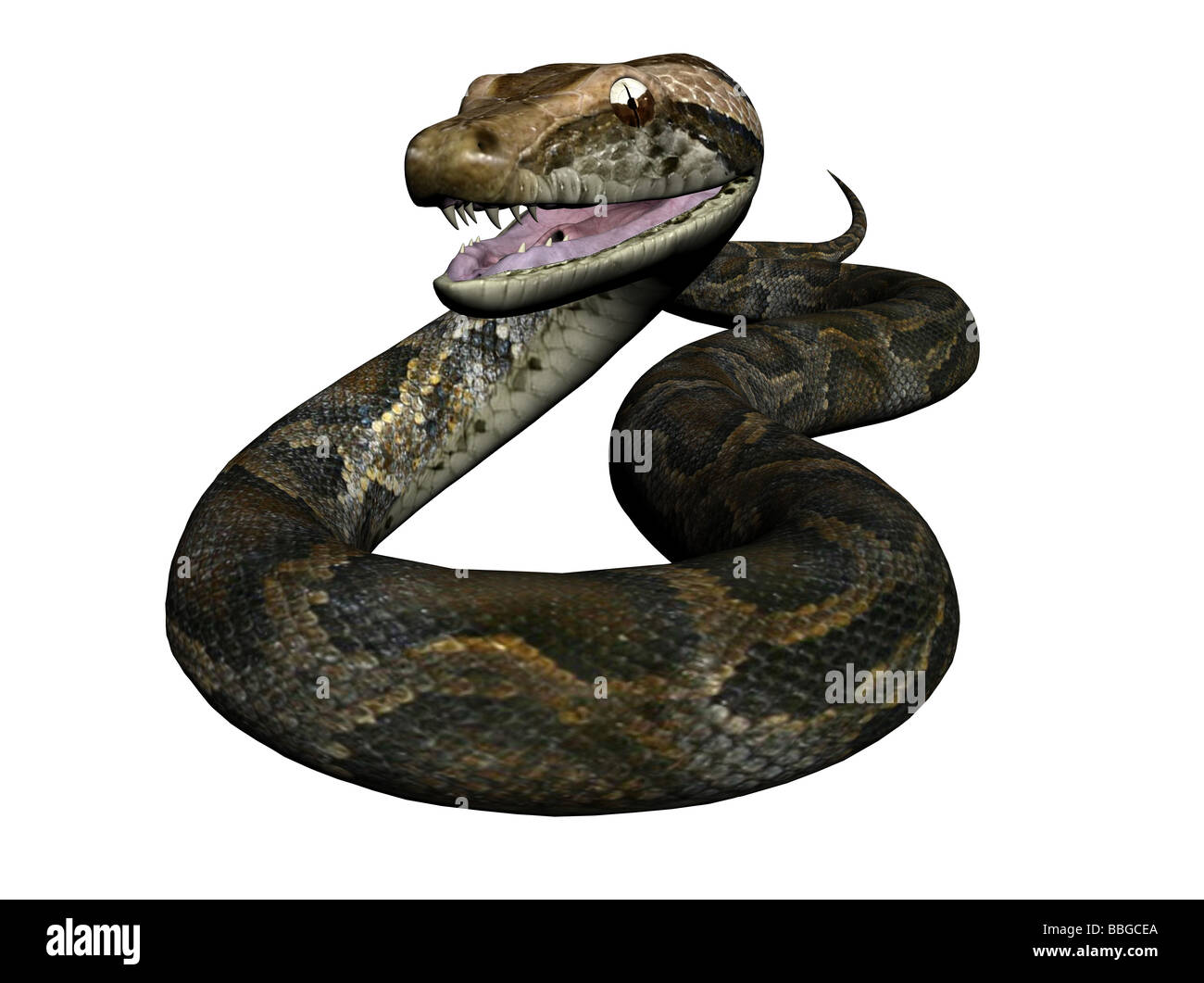 3D Illustration of a python Stock Photo - Alamy