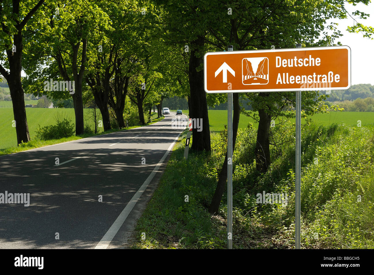 Sign 'Deutsche Alleenstrasse', Rheinisch Bergischer Kreis district, North Rhine-Westphalia, Germany, Europe Stock Photo