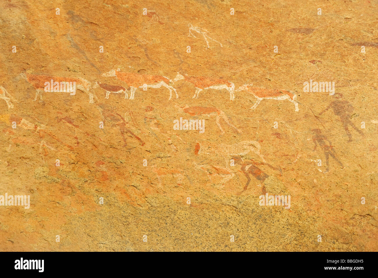 Polychrome rock paintings in Maack's Shelter in the Leopard Gorge ...