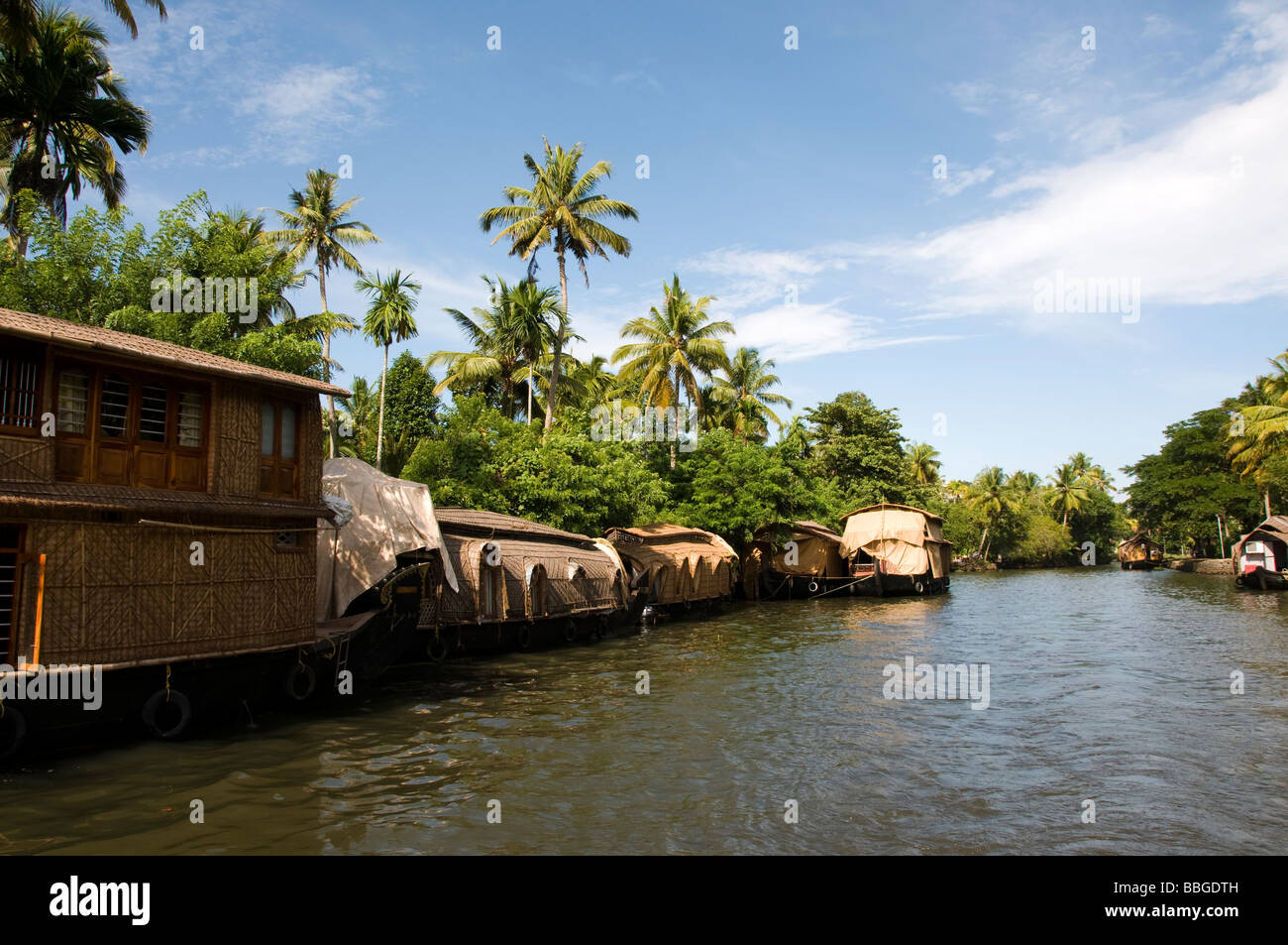 Riceboat or Kettuvallam Houseboats moored along backwaters, kumarakom Kerala South India Stock Photo