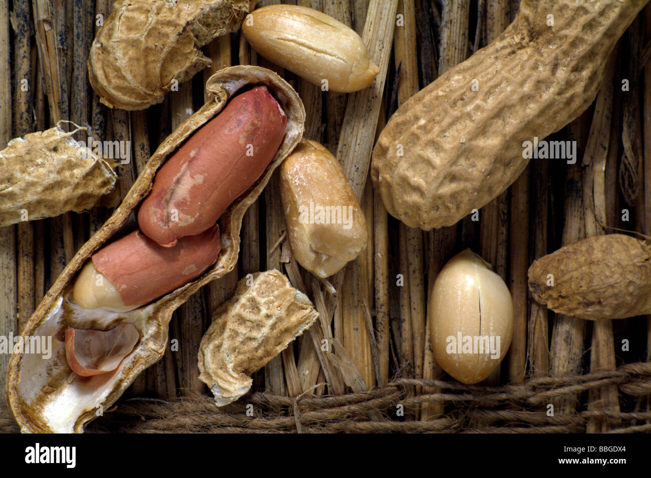 Peanuts (Arachis hypogaea) on straw Stock Photo