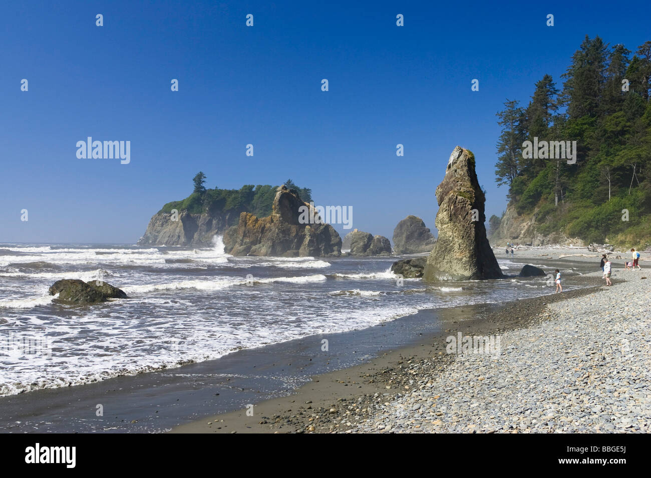 West Coast, Pacific, Olympic Peninsula, Washington, USA Stock Photo