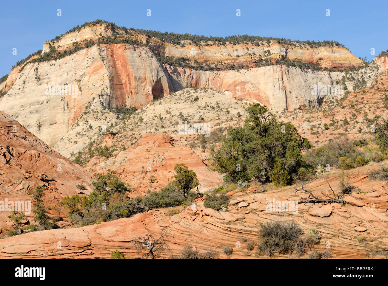 Zion Striped Rocks Zion national park stones hi-res stock photography and images - Alamy
